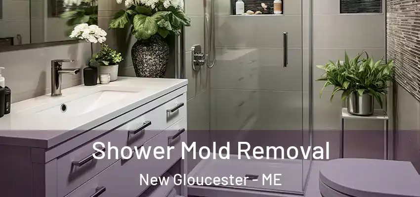 Shower Mold Removal New Gloucester - ME