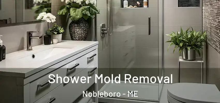Shower Mold Removal Nobleboro - ME