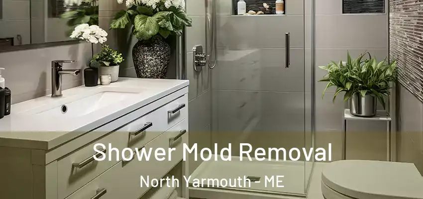 Shower Mold Removal North Yarmouth - ME