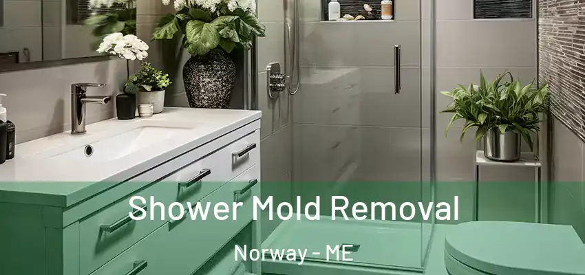  Shower Mold Removal Norway - ME
