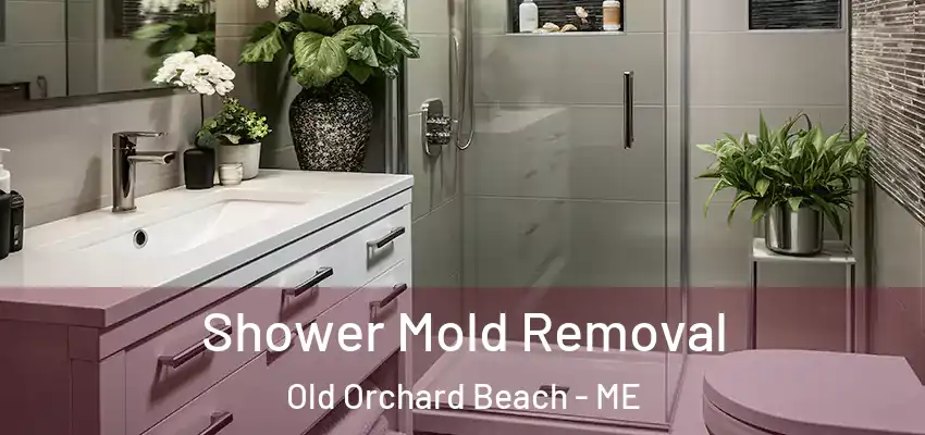 Shower Mold Removal Old Orchard Beach - ME