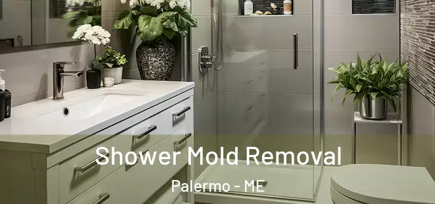  Shower Mold Removal Palermo - ME