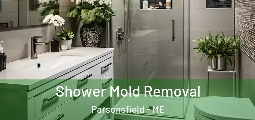 Shower Mold Removal Parsonsfield - ME