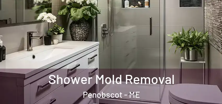 Shower Mold Removal Penobscot - ME