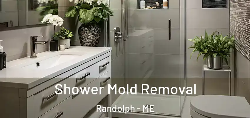 Shower Mold Removal Randolph - ME