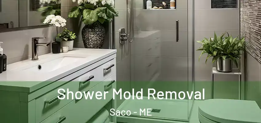  Shower Mold Removal Saco - ME