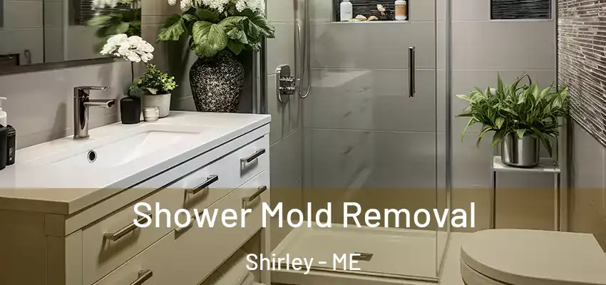  Shower Mold Removal Shirley - ME