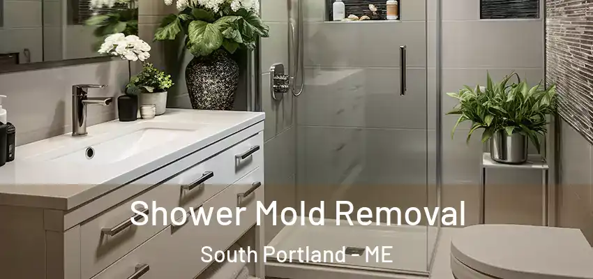 Shower Mold Removal South Portland - ME