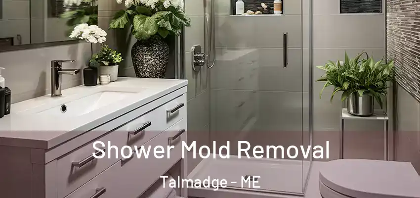 Shower Mold Removal Talmadge - ME