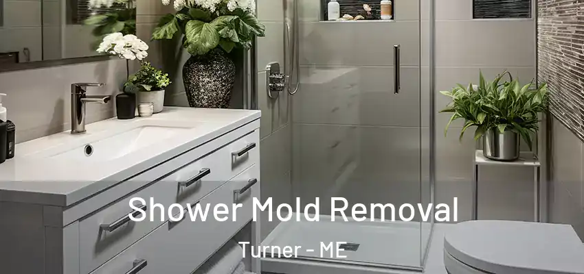  Shower Mold Removal Turner - ME