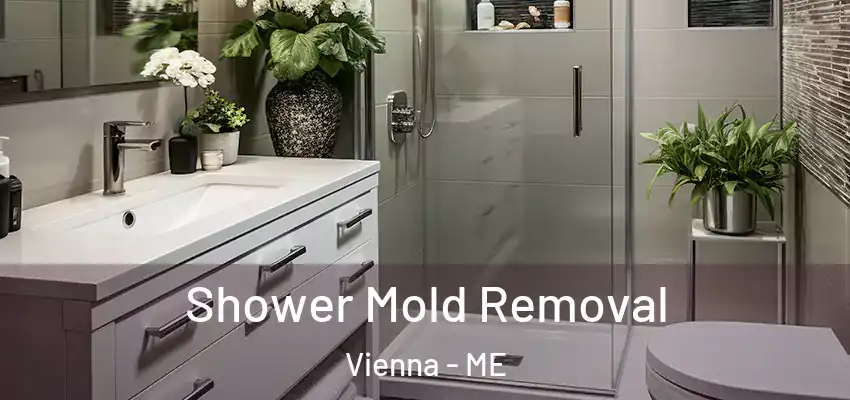 Shower Mold Removal Vienna - ME
