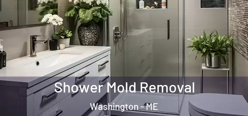  Shower Mold Removal Washington - ME
