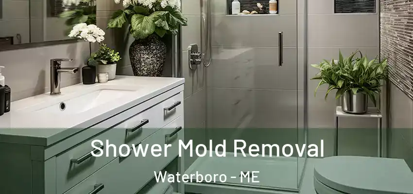 Shower Mold Removal Waterboro - ME