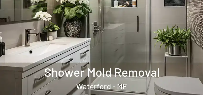 Shower Mold Removal Waterford - ME