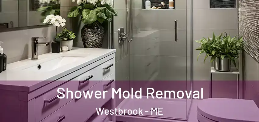  Shower Mold Removal Westbrook - ME