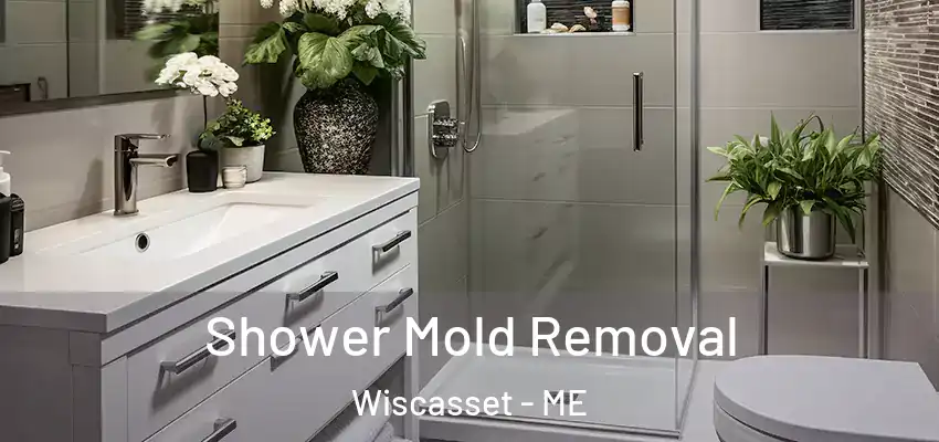 Shower Mold Removal Wiscasset - ME