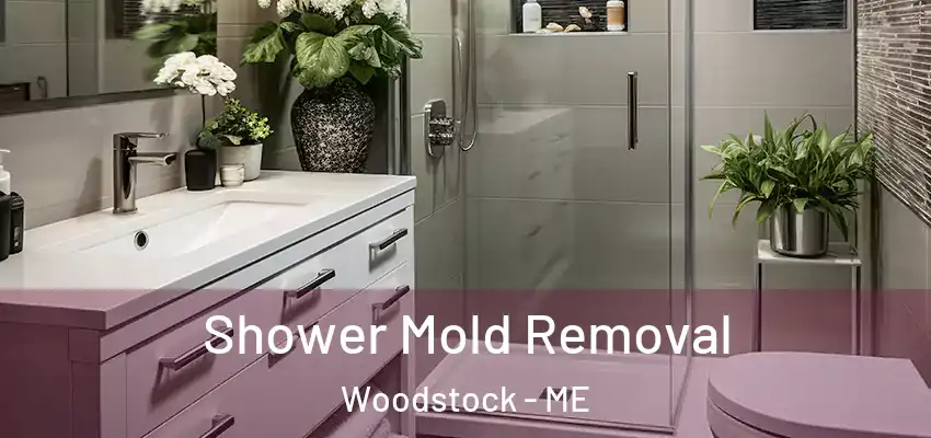  Shower Mold Removal Woodstock - ME
